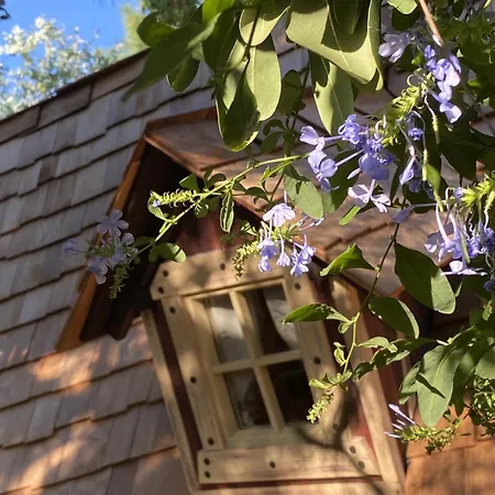 Mas Del Flor Bed & Breakfast Villelongue-dels-Monts